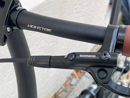 FNHON GUST 20 Zoll 9 Gänge SHIMANO ALTUS